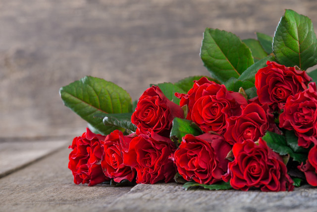Red roses wooden surface romantic free wallpaper - medium preview image