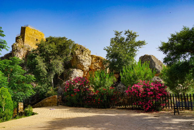 Park stonewall fence flowers rockwall free wallpaper - medium preview image