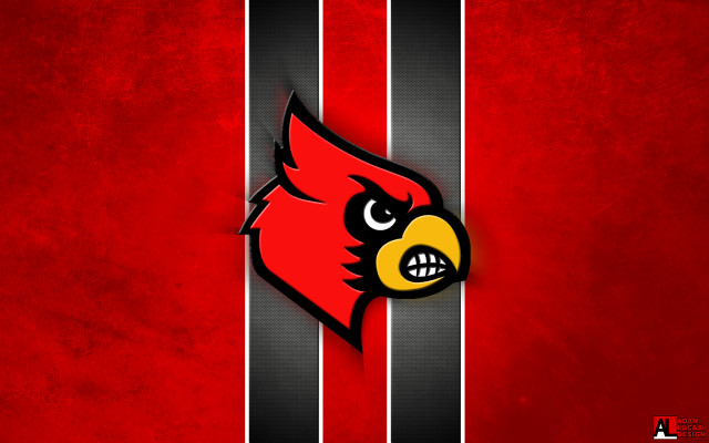 Red black wall red bird free wallpaper - medium preview image