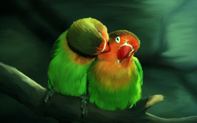 Colorful birds branch touching eyes free wallpaper - medium preview image
