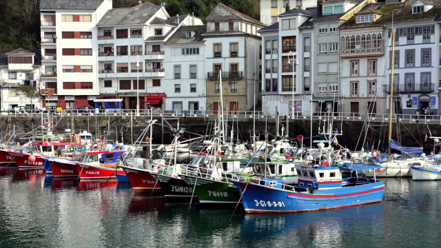 Boats harbor cityscape bridge buildings free wallpaper - medium preview image