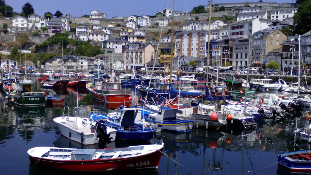 Harbor boats hillside buildings trees #3 free wallpaper - medium preview image