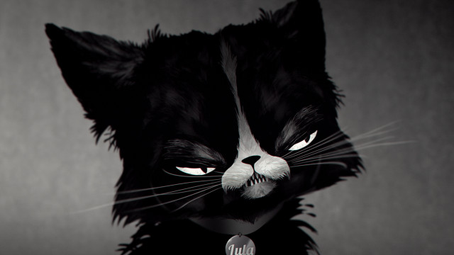 Black white cat microphone mouth free wallpaper - medium preview image