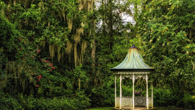 Gazebo park moss trees bench free wallpaper - medium preview image