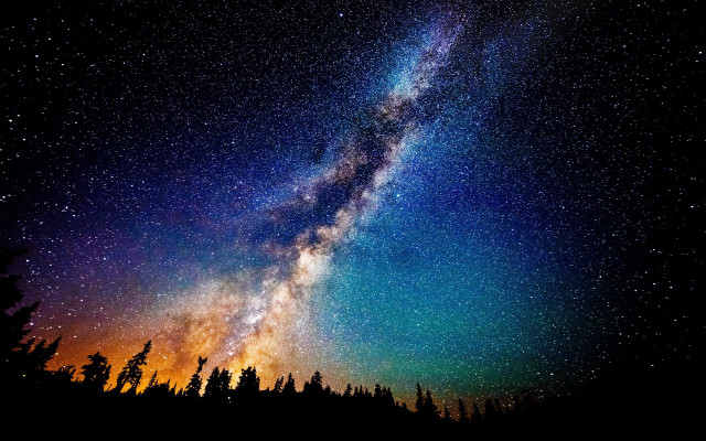 Night sky bright star tree free wallpaper - medium preview image