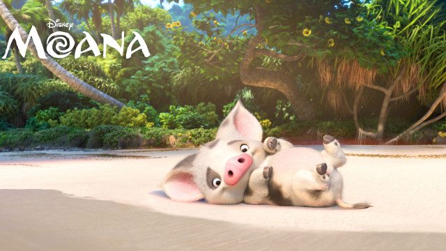 Pigs beach forest sand bushes free wallpaper - medium preview image