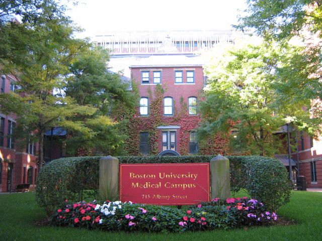 Boston university medical campus sign free wallpaper - medium preview image