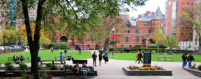 People walking park benches trees free wallpaper - medium preview image