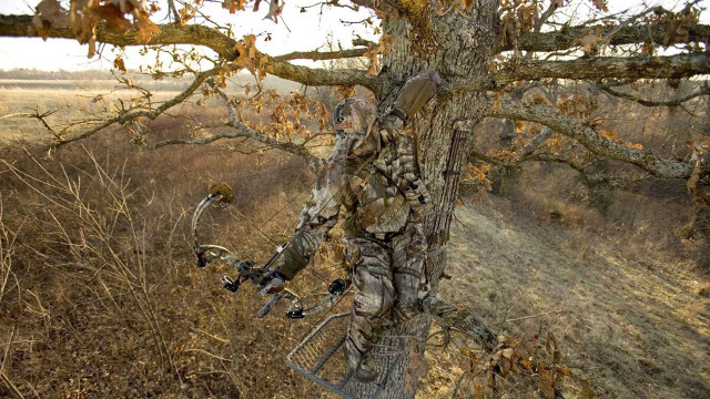 Tree stand hunting blind field free wallpaper - medium preview image