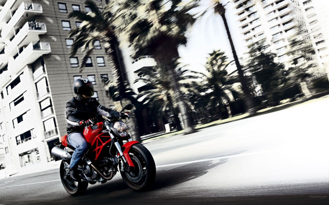 Man motorcycle street tallbuildings palm free wallpaper - medium preview image
