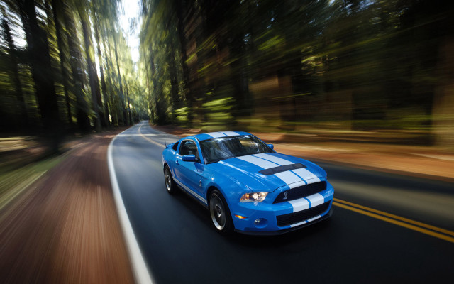 Blue car driving road forest #6 free wallpaper - medium preview image