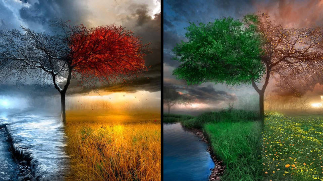 Tree river sunset sky red free wallpaper - medium preview image