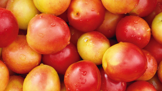 Apples water droplets yellow background free wallpaper - medium preview image