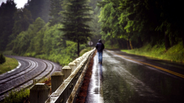 Person walking rain umbrella train free wallpaper - medium preview image