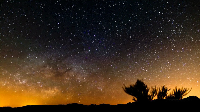 Night sky stars tree silhouette free wallpaper - medium preview image