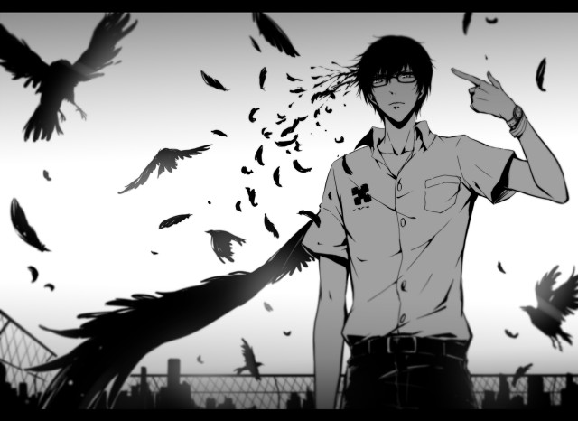 Man fence birds flying around free wallpaper - medium preview image