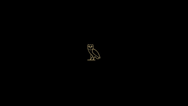 Black gold owl sitting black free wallpaper - medium preview image