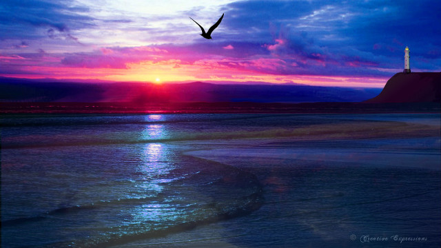 Bird flying water sunset lighthouse free wallpaper - medium preview image