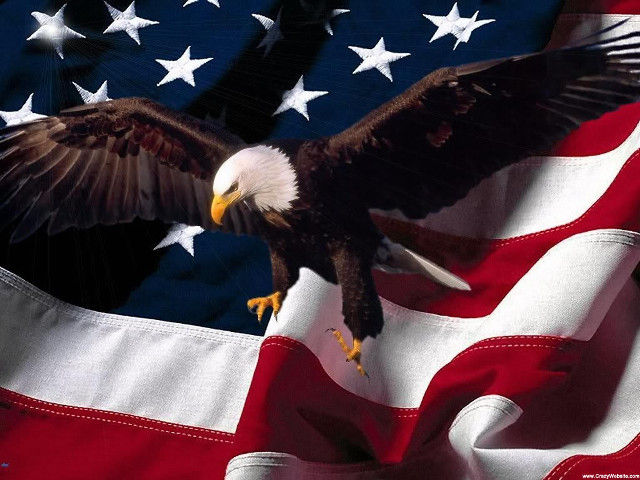Eagle flying flag stars white free wallpaper - medium preview image