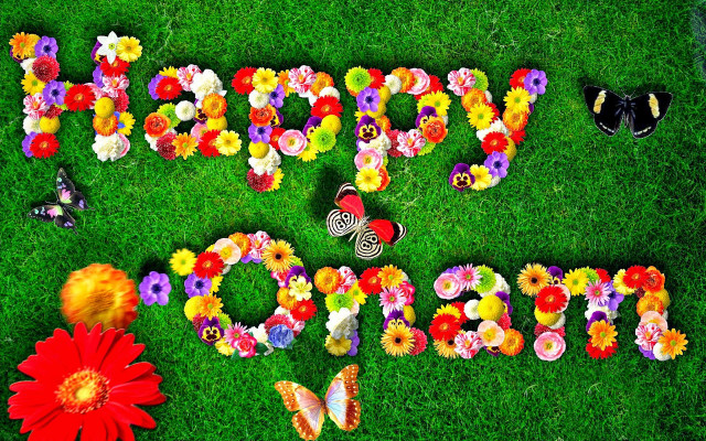Happy mothers day field flowers free wallpaper - medium preview image