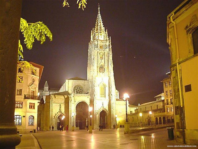 Cathedral night people walking tree free wallpaper - medium preview image