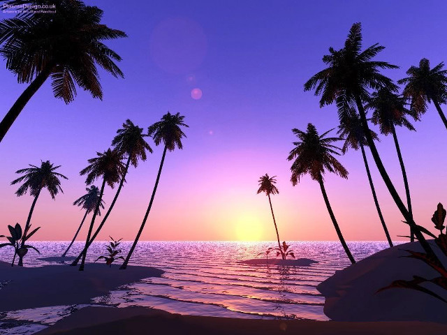 Sunset palm trees surfboard person free wallpaper - medium preview image