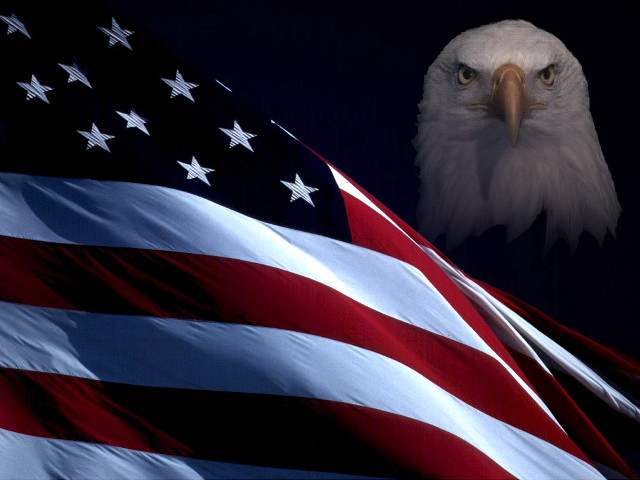 Bald eagle flag dark sky free wallpaper - medium preview image