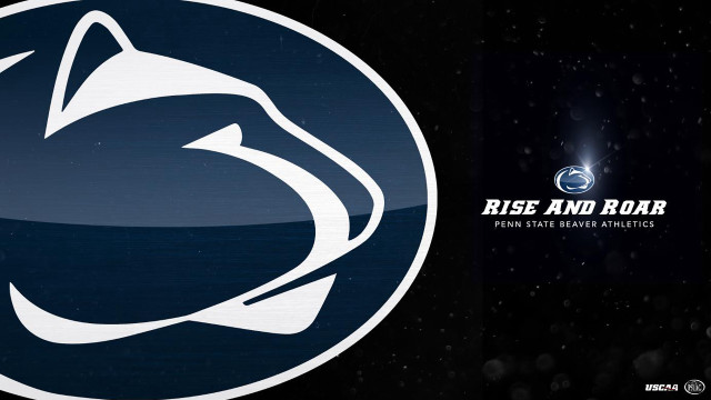Blue white logo cat black free wallpaper - medium preview image