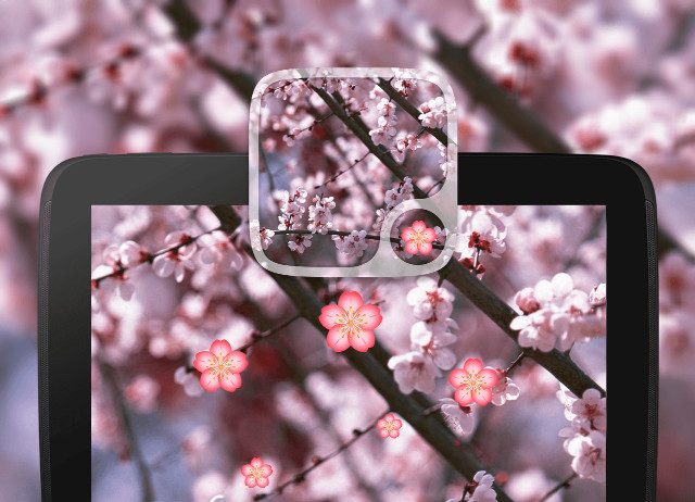 Tablet tree pink flowers blurry free wallpaper - medium preview image
