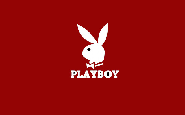 Rabbit bowtie playboy chest image free wallpaper - medium preview image