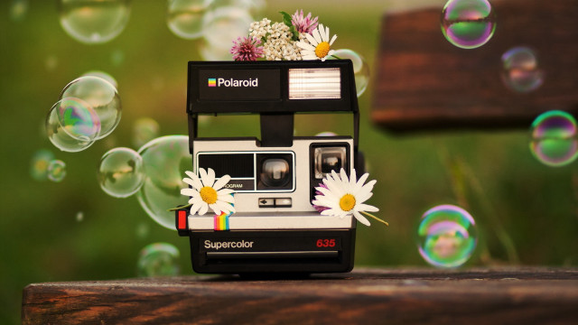 Polaroid camera flower bubbles wooden free wallpaper - medium preview image