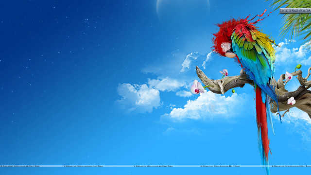 Colorful parrot branch tree blue free wallpaper - medium preview image