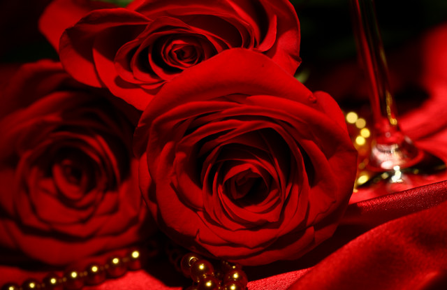 Red roses tablecloth wine glass free wallpaper - medium preview image