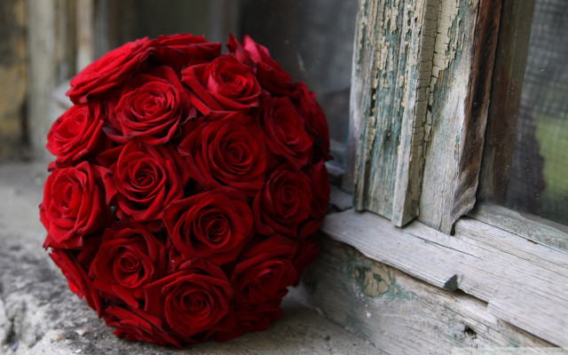 Bouquet red roses window sill free wallpaper - medium preview image