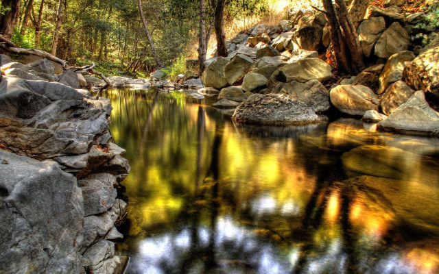 Forest stream rocks trees reflection free wallpaper - medium preview image