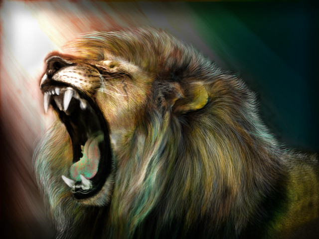 Lion mouth open teeth wide #4 free wallpaper - medium preview image