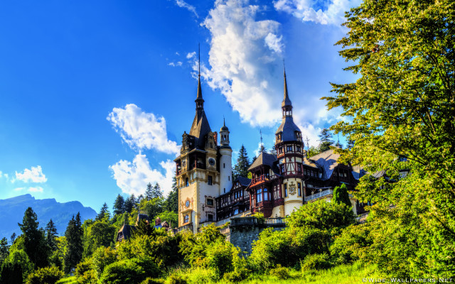 Castle towers hill trees clouds free wallpaper - medium preview image
