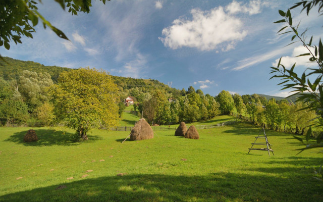 Field haybales house trees blueclouds free wallpaper - medium preview image