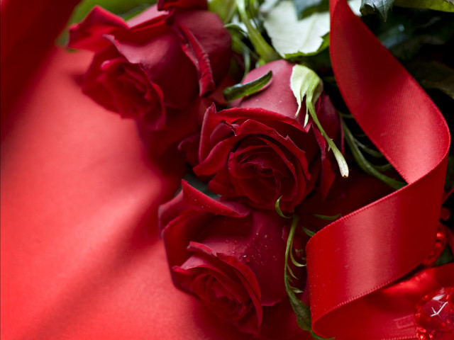 Red roses bouquet ribbon blurry free wallpaper - medium preview image