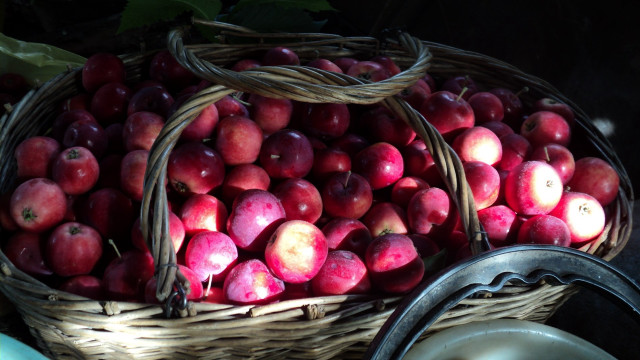 Basket apples table knife bowl free wallpaper - medium preview image