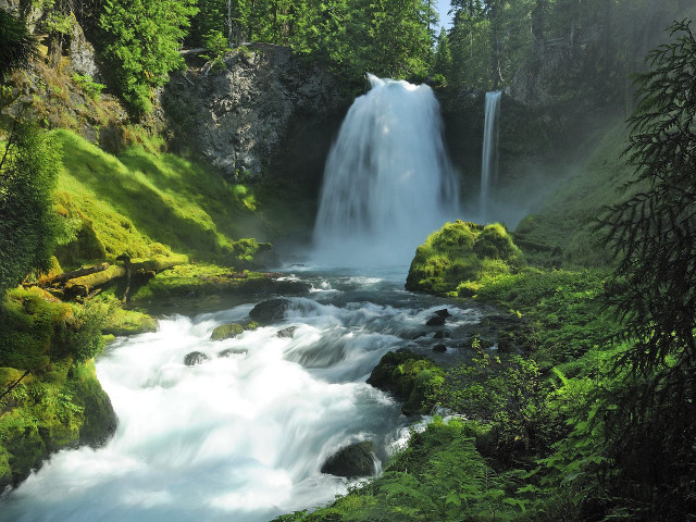 Waterfall forest mossy rocks trees #22 free wallpaper - medium preview image