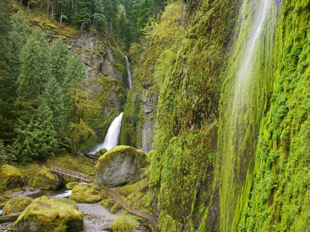 Waterfall bridge forest moss nature free wallpaper - medium preview image