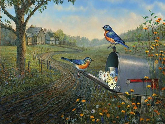 Birds mailbox field flowers tree free wallpaper - medium preview image