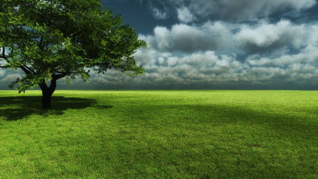 Tree field cloudy sky green #5 free wallpaper - medium preview image