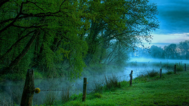 Foggy lake fence trees night free wallpaper - medium preview image