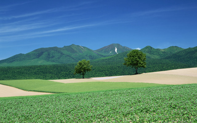 Field trees mountains blue sky free wallpaper - medium preview image