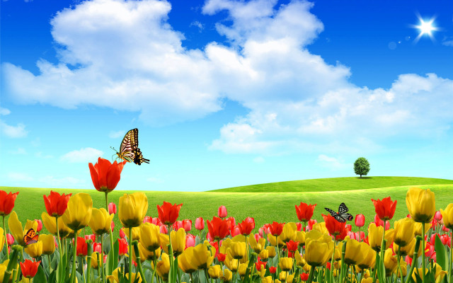 Flower field butterfly sky clouds #2 free wallpaper - medium preview image