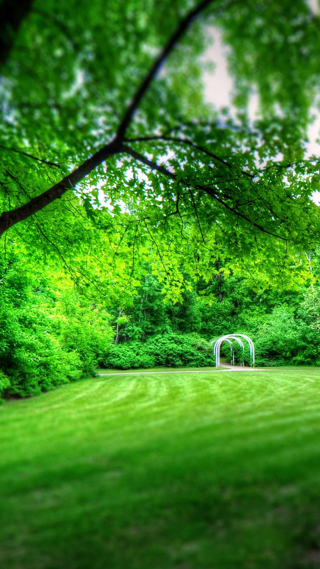 Green field white bench trees free wallpaper - medium preview image