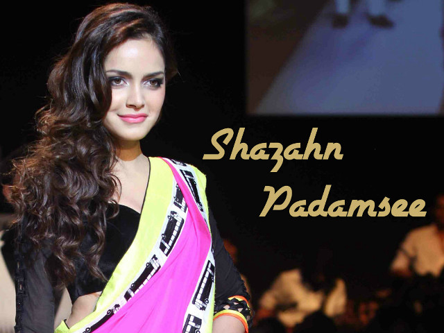 Woman sari runway smile name free wallpaper - medium preview image