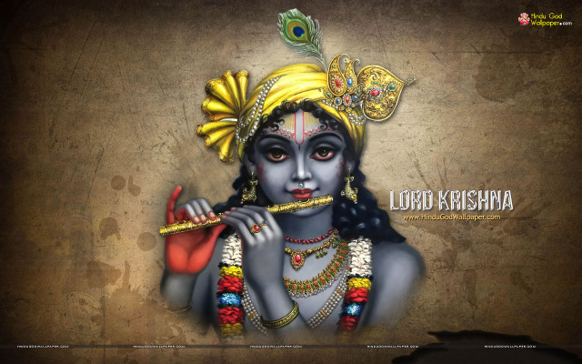 Lord kashya peacock head shoulder free wallpaper - medium preview image